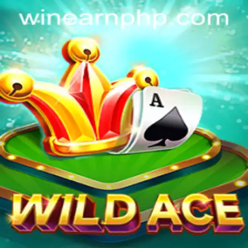 Dive into the Thrilling World of WildAce